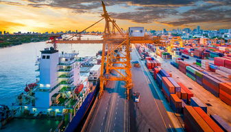 擴大進口 消費市場添利好