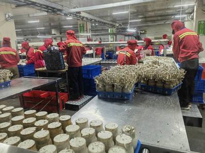 市農(nóng)業(yè)農(nóng)村局局長(zhǎng)于靈才帶隊(duì)赴廈門(mén)開(kāi)展招商引資 促進(jìn)農(nóng)業(yè)貿(mào)易合作